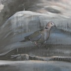 Cape Turtle Dove (Disappearance).  2009.  (Detail)