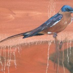 Karoo landscape with migratory bird (oranje). 2007. (Detail)